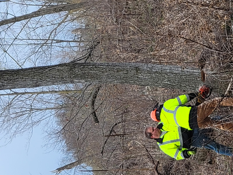 /pictures/Trail Maintenance 2021/20210418_075258.jpg